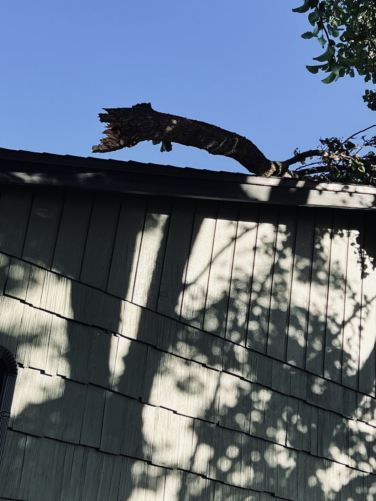 A storm-damaged tree limb fallen across a roofline