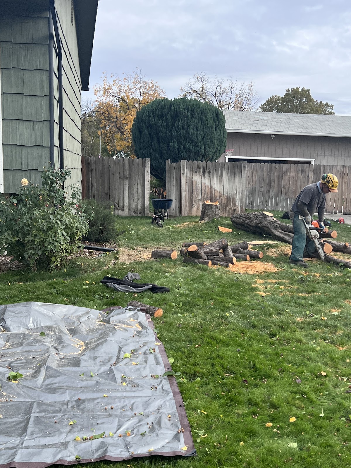 Crew member cutting logs in a yard